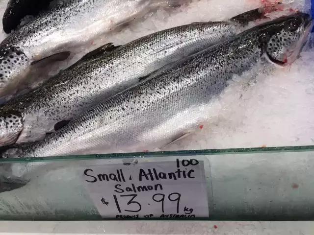 同等收入国内与国外生活对比,国内生活好还是在澳洲生活好