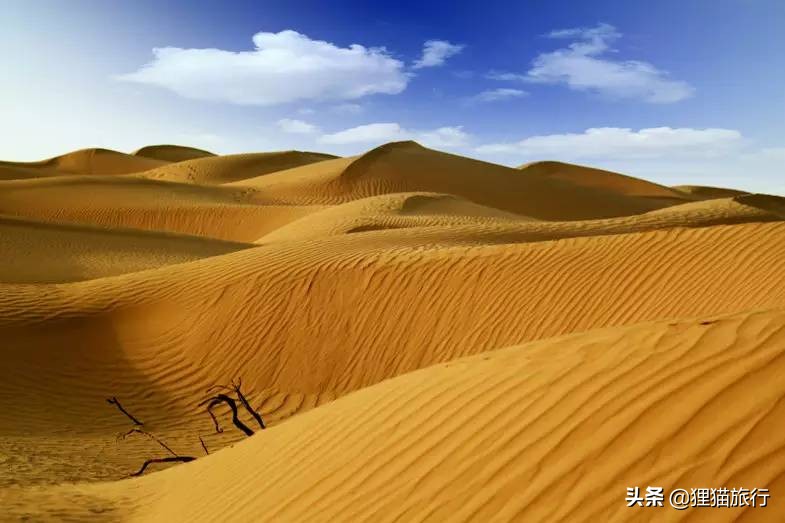 和田地区民丰县尼雅遗址,新疆民丰尼雅