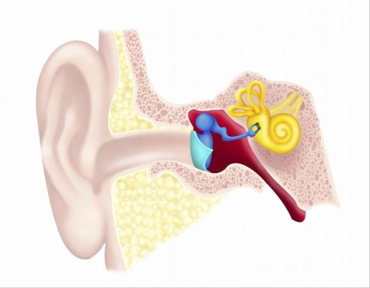 听神经瘤可能一辈子不发作吗,听神经瘤是什么病
