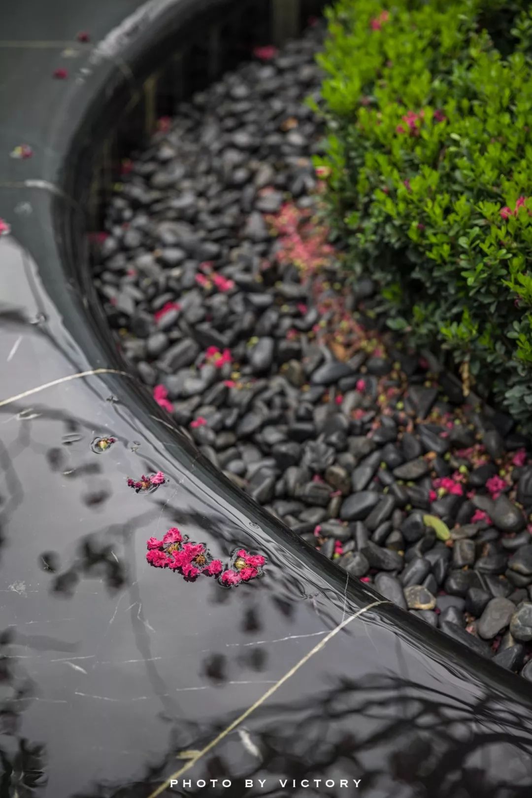 丽思卡尔顿西安自助,西安丽思卡尔顿酒店多少钱一晚