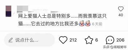 网红绑猫*藏西**骑行求关注,遭网友质疑回怼:比在家里刺激多了