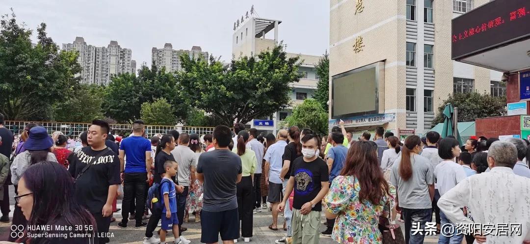 神兽归笼明天开学家长发朋友圈,神兽归笼开学视频