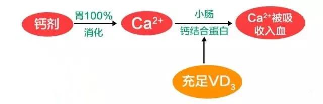 给宝宝补钙和维生素,给宝宝补钙晚上反而哭闹