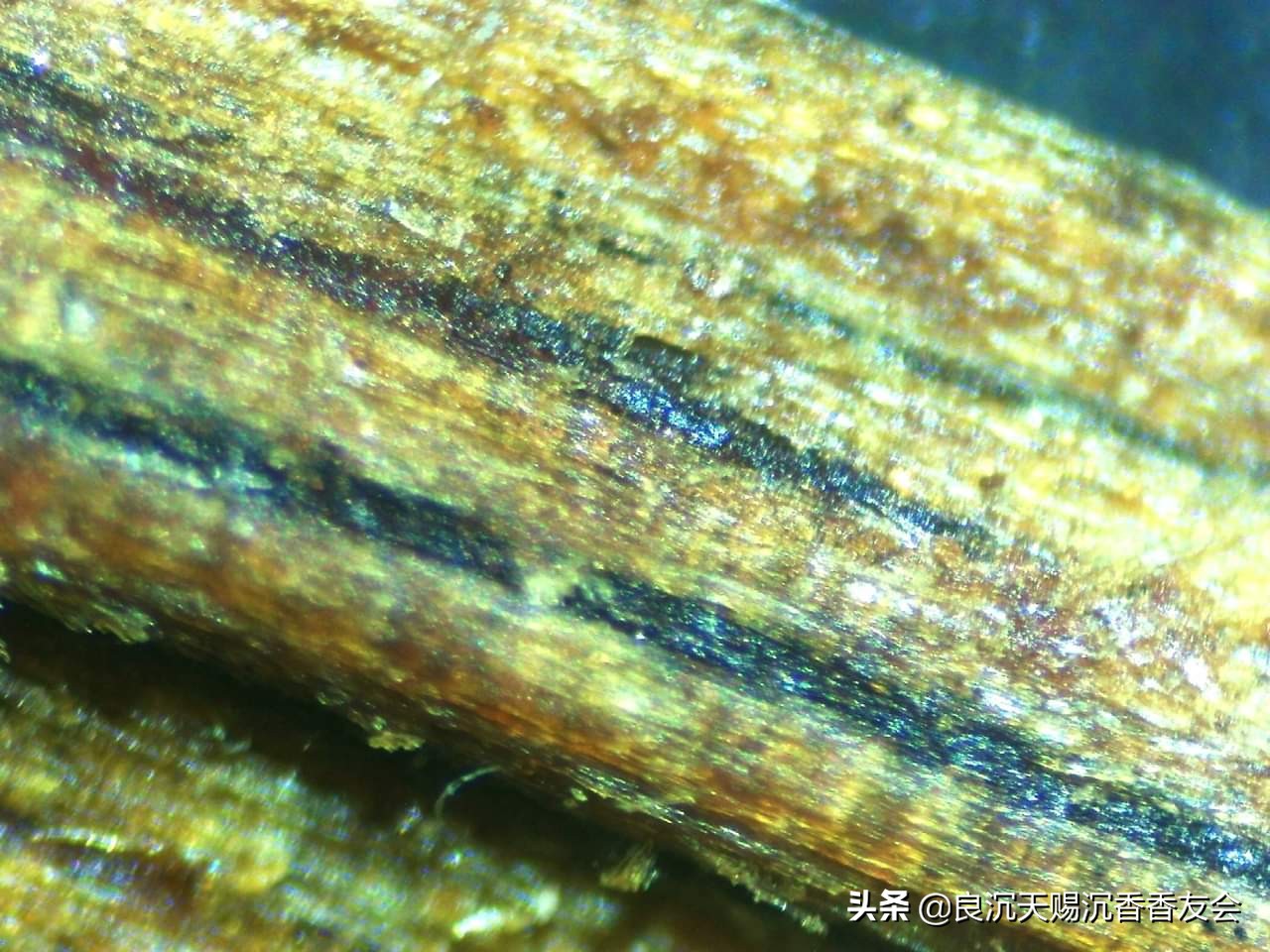 真沉香和假沉香香烟区别图片,真沉香和假沉香手串怎么分别