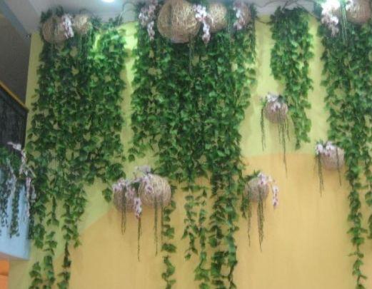 四种植物,家里养什么盆栽好去甲醛净化空气