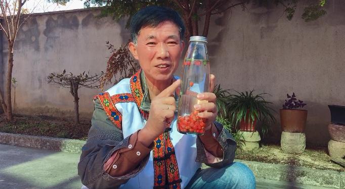 红豆杉果实能不能吃,红豆杉果实能吃吗吃了有什么作用