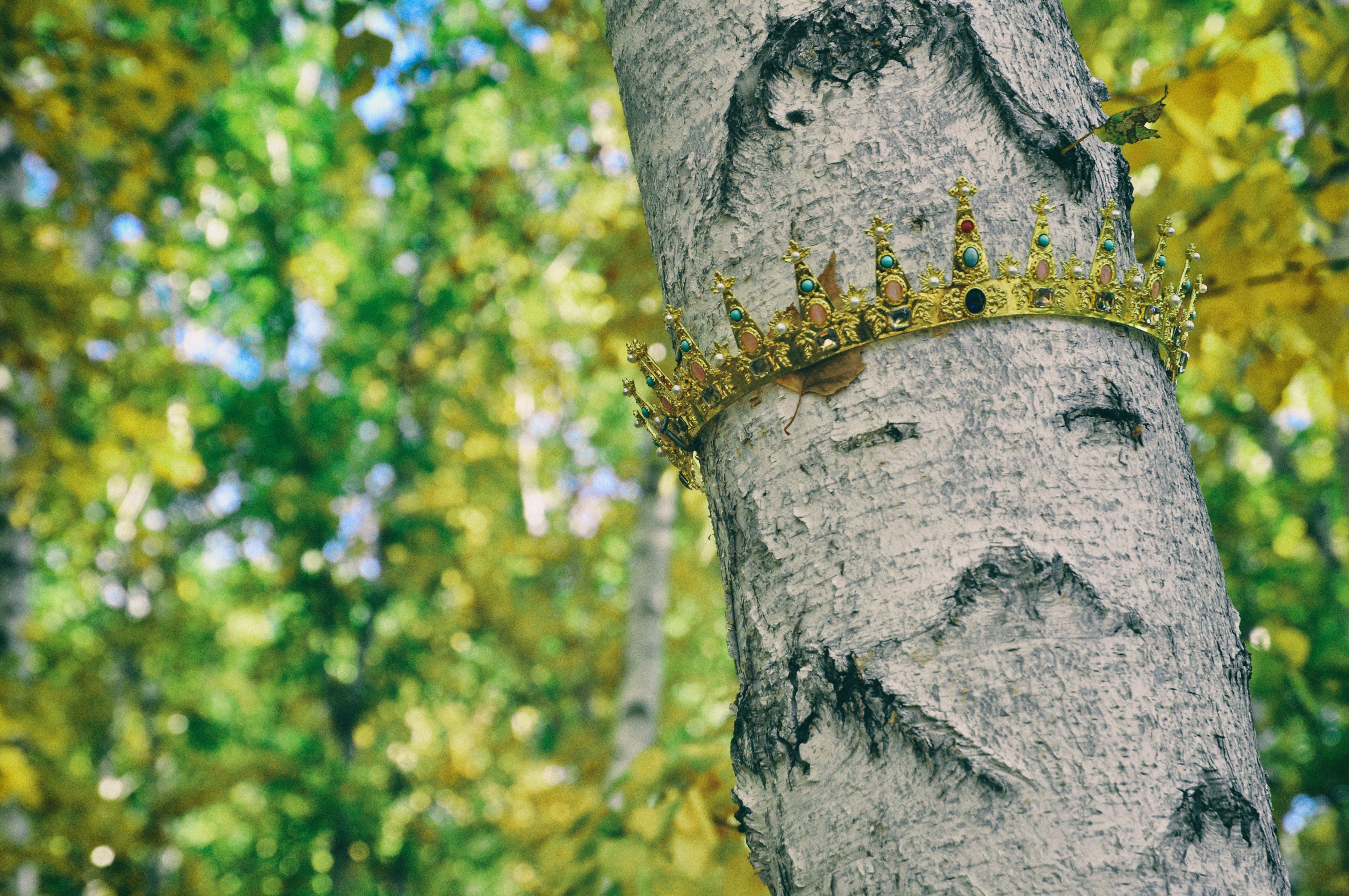 东北游记攻略,东北游记最新视频