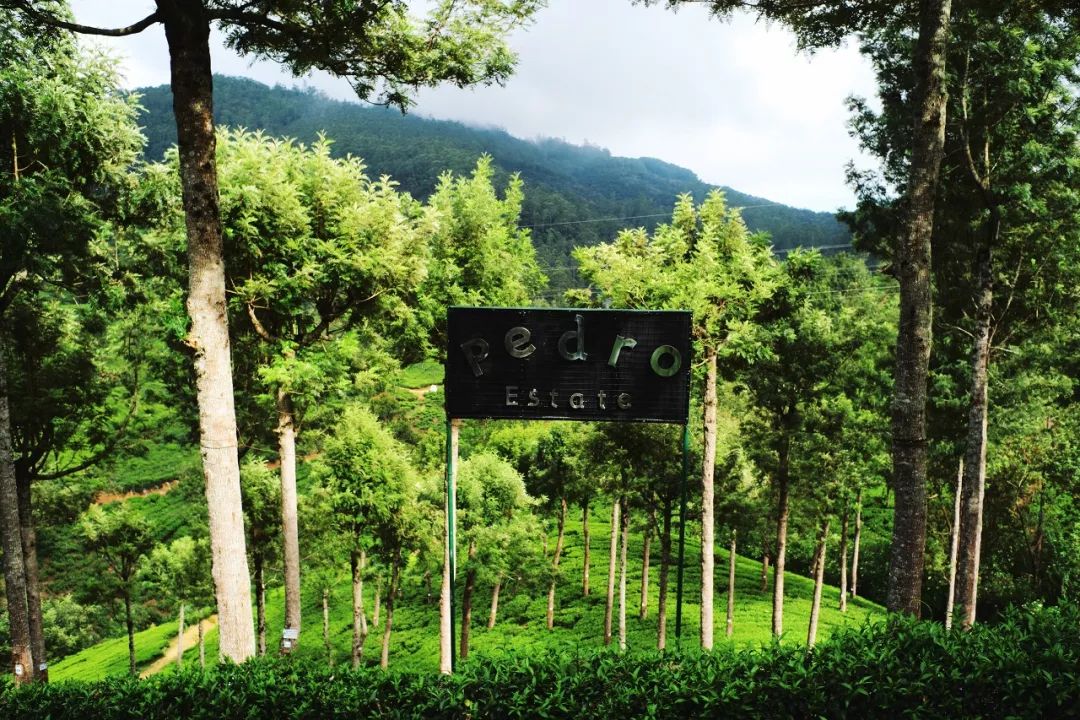 这个曾数次登上LP榜单的微笑国度，还有众多小众酒店值得睡