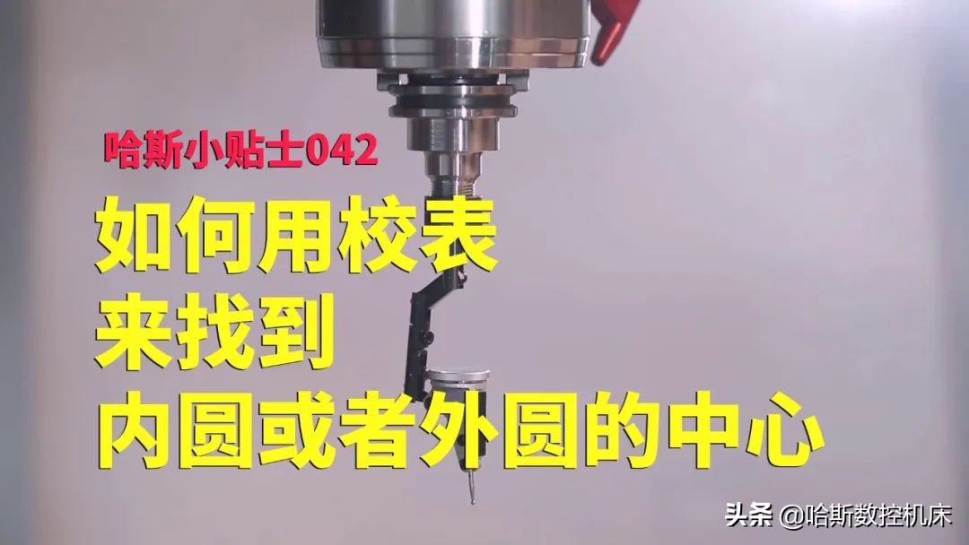 最受欢迎的哈斯,哈斯小贴士