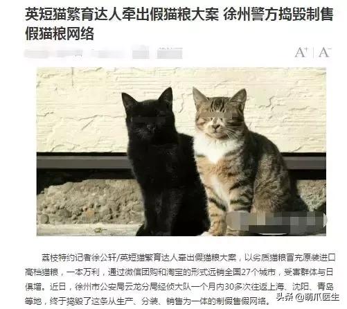 足不出户就能在线治猫病,24小时猫病在线咨询
