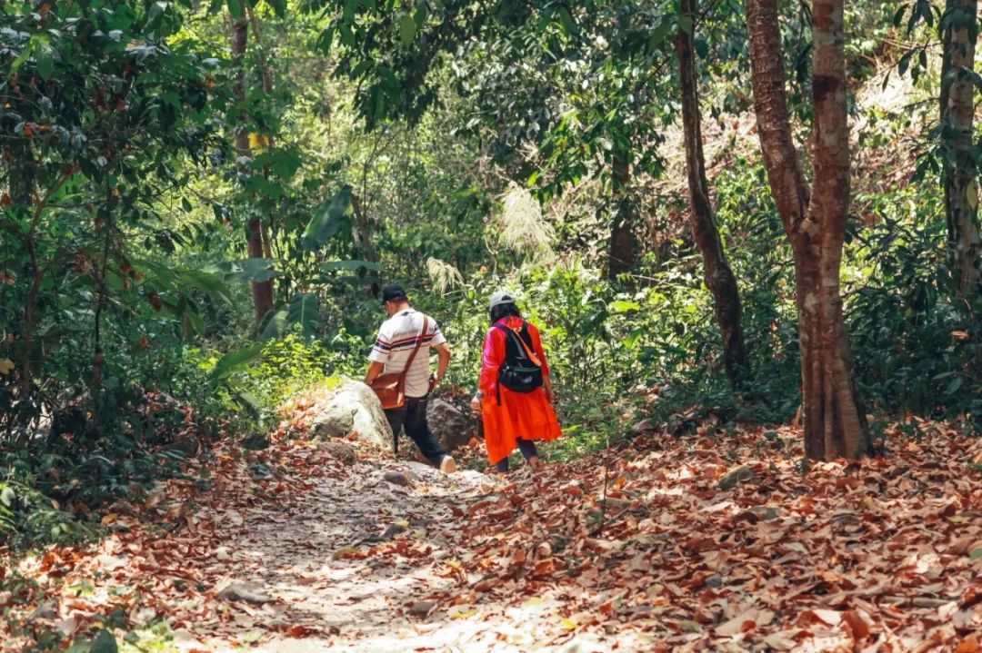 成都户外：当生活一塌糊涂的时候，就去清迈找回最初的自己吧