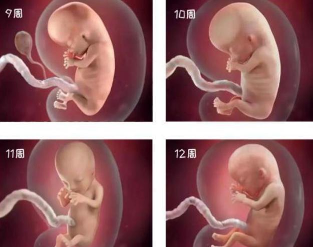 先兆流产地屈孕酮和黄体酮一起吃,先兆流产服用地屈孕酮能好吗