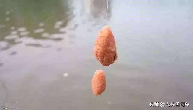 野钓有鱼泡不吃钩怎么办,大量鱼浮出水面不开口