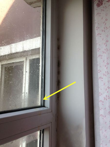 如何除窗户霉菌,浴室浴帘黑霉菌如何清理