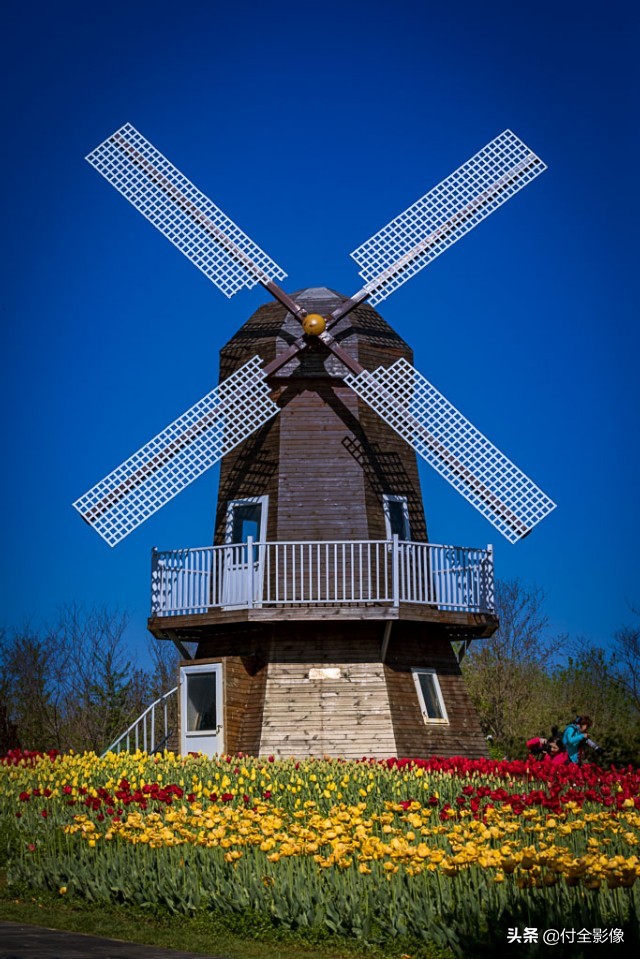北京国际鲜花港门票优惠,北京国际鲜花港夏天