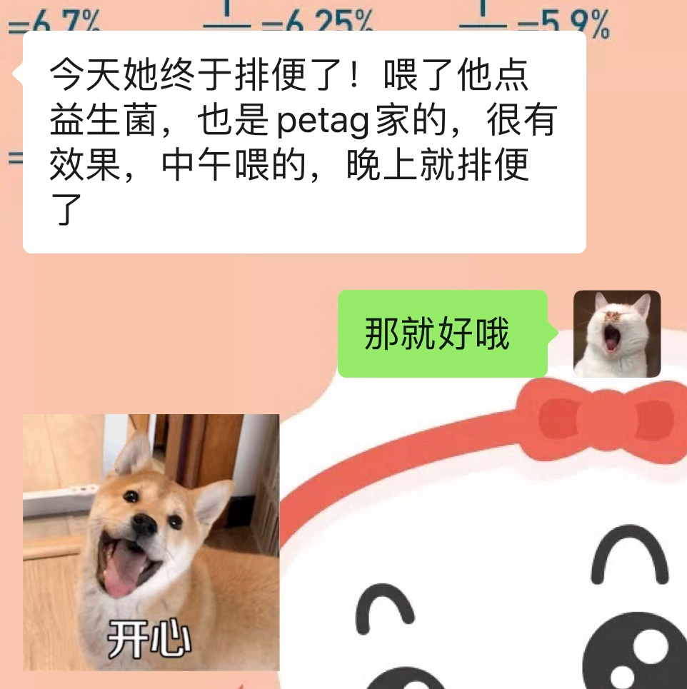 两只超凶的小奶猫怎么养,养刚出生的猫