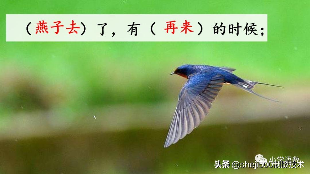 六年级下册语文书8课匆匆的预习,部编版六年级下第八课匆匆讲解