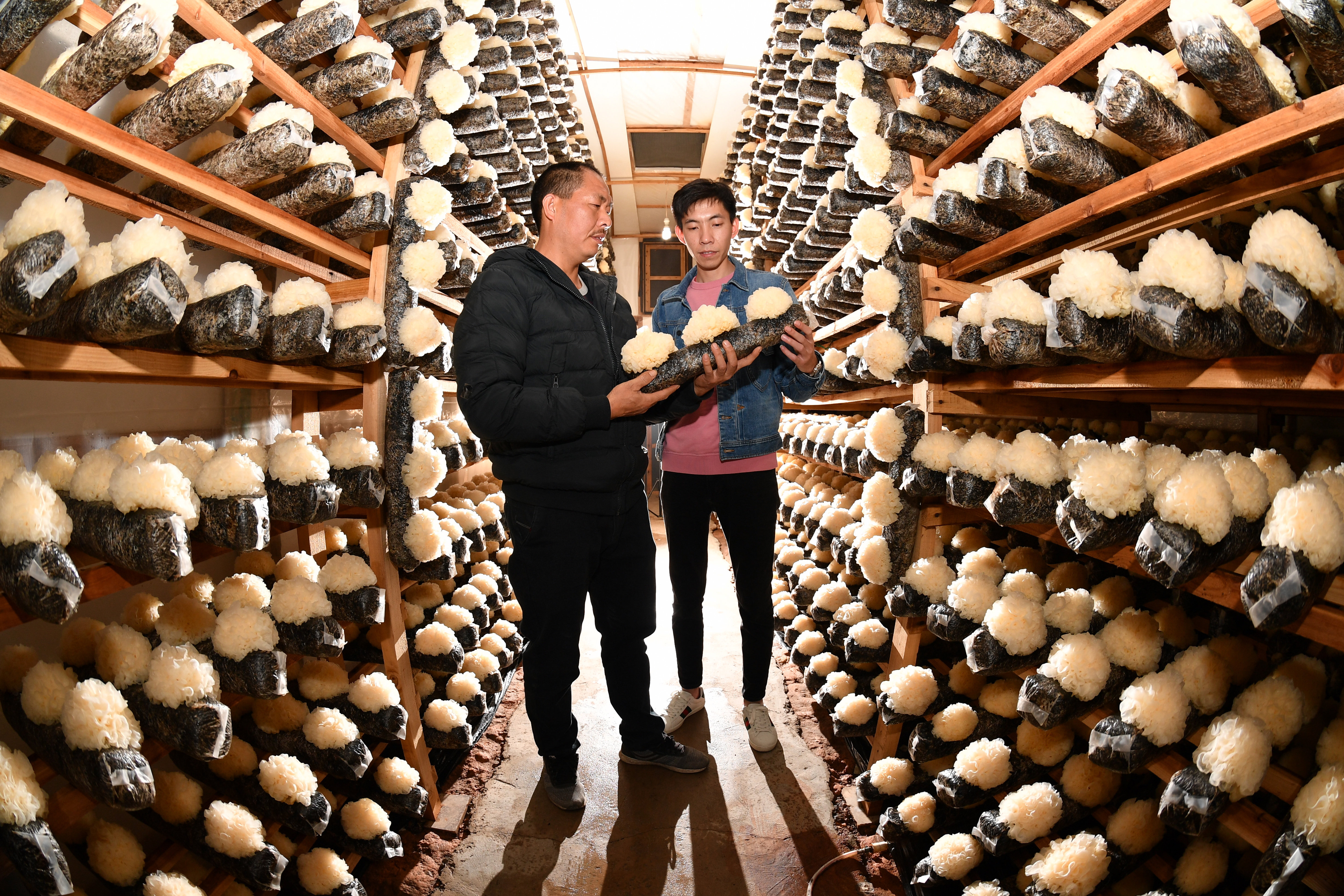 小伙做拼多多2个月现在日发3000单,小伙做拼多多二个月