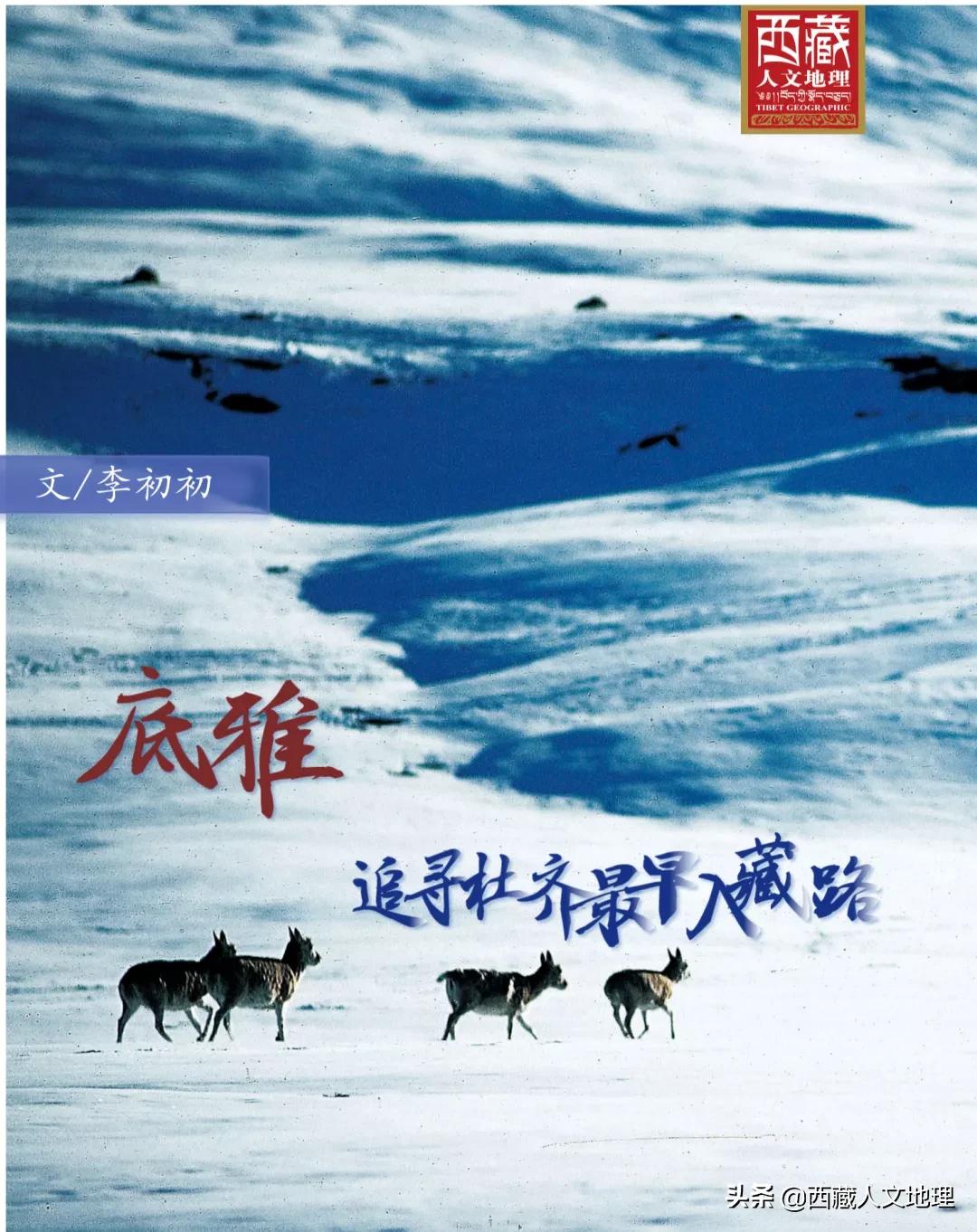 8次深入喜马拉雅，著名藏学家朱塞佩·杜齐的阿里探险之旅