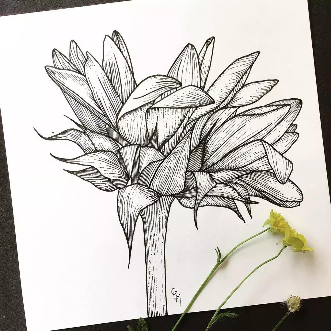 这一波手绘太给力了,绝对让你练完不厉害都难