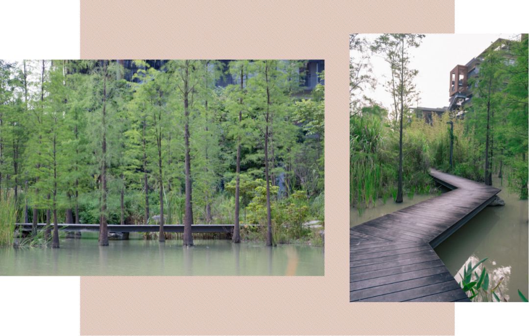 深圳宝安喝茶的世外桃源,宝安西乡世外桃源