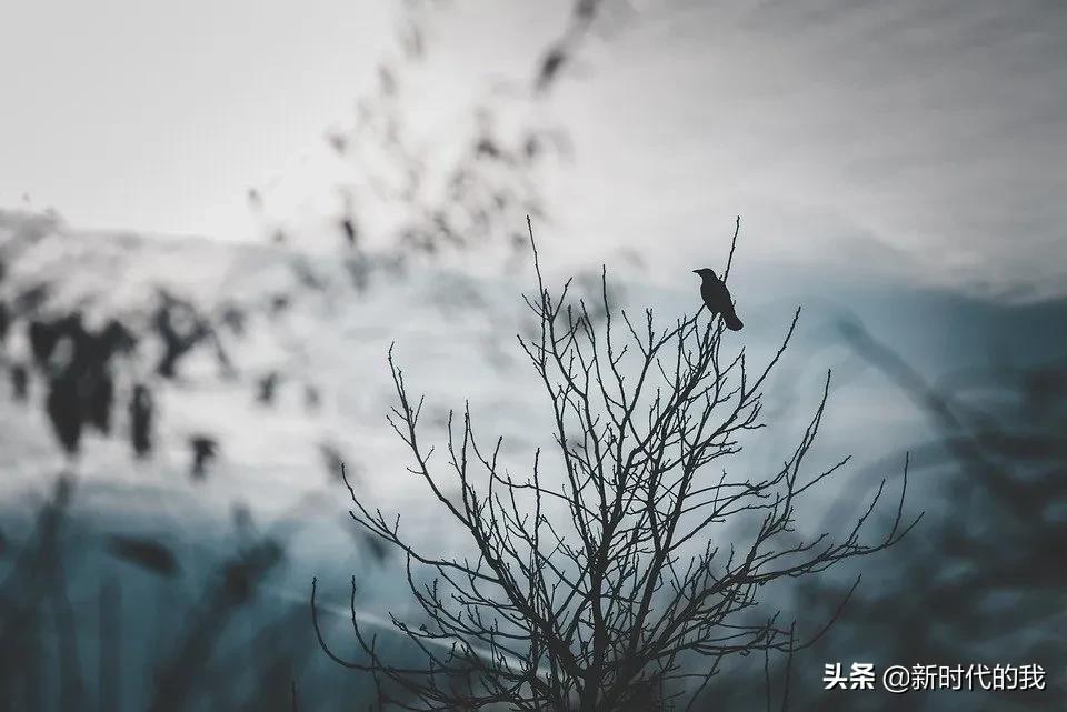 金属与盐溶液的反应知识点,金属与盐溶液反应后分析