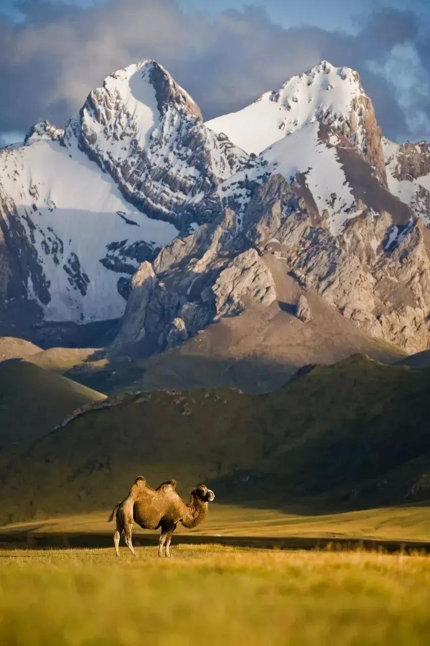 中国最没被认全的邻居,我国未被识别的民族有多少