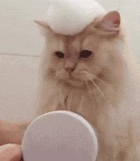 这些用药误区家长不要踩,12大用药误区家长务必不要再犯了