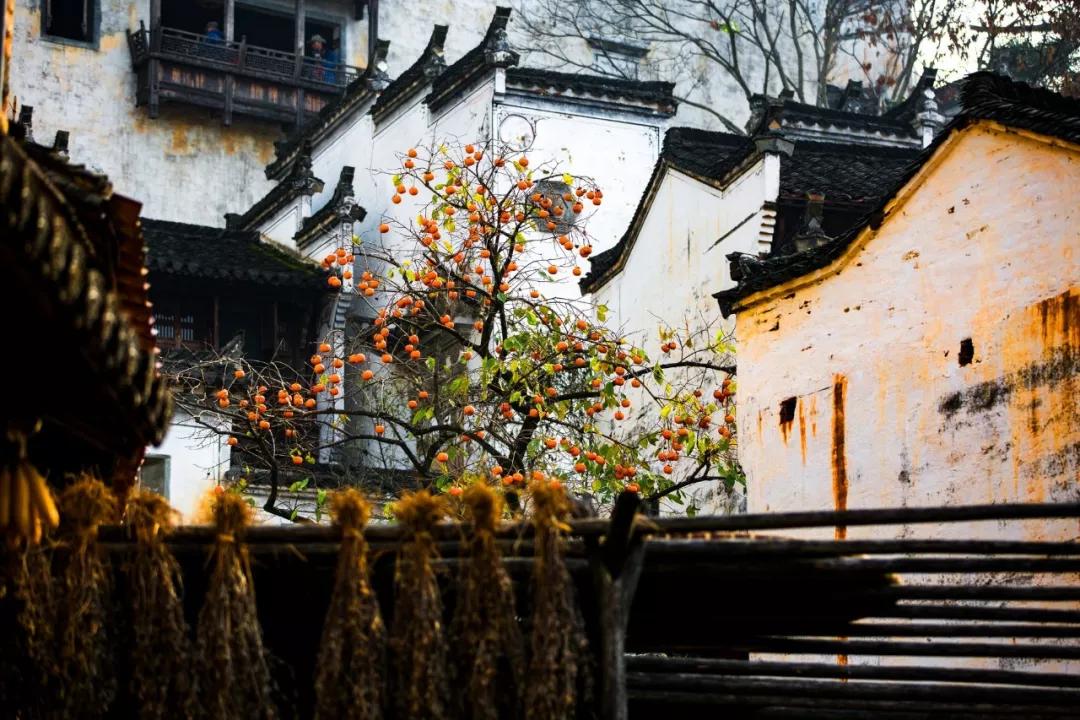 李白最美的十首诗是什么,李白写的几首最美的古诗