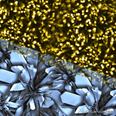 小说封面设计入门教程,怎么让自己的文章变成动画