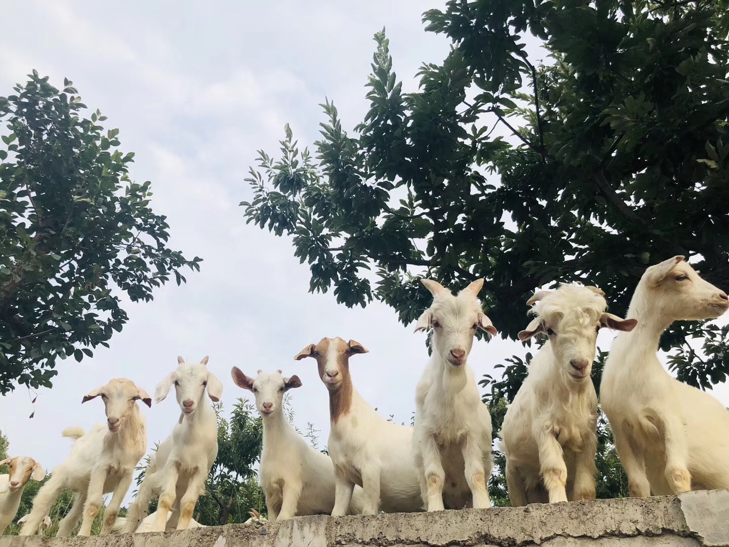 深山隐蔽的世外桃源,隐藏在乡间的世外桃源