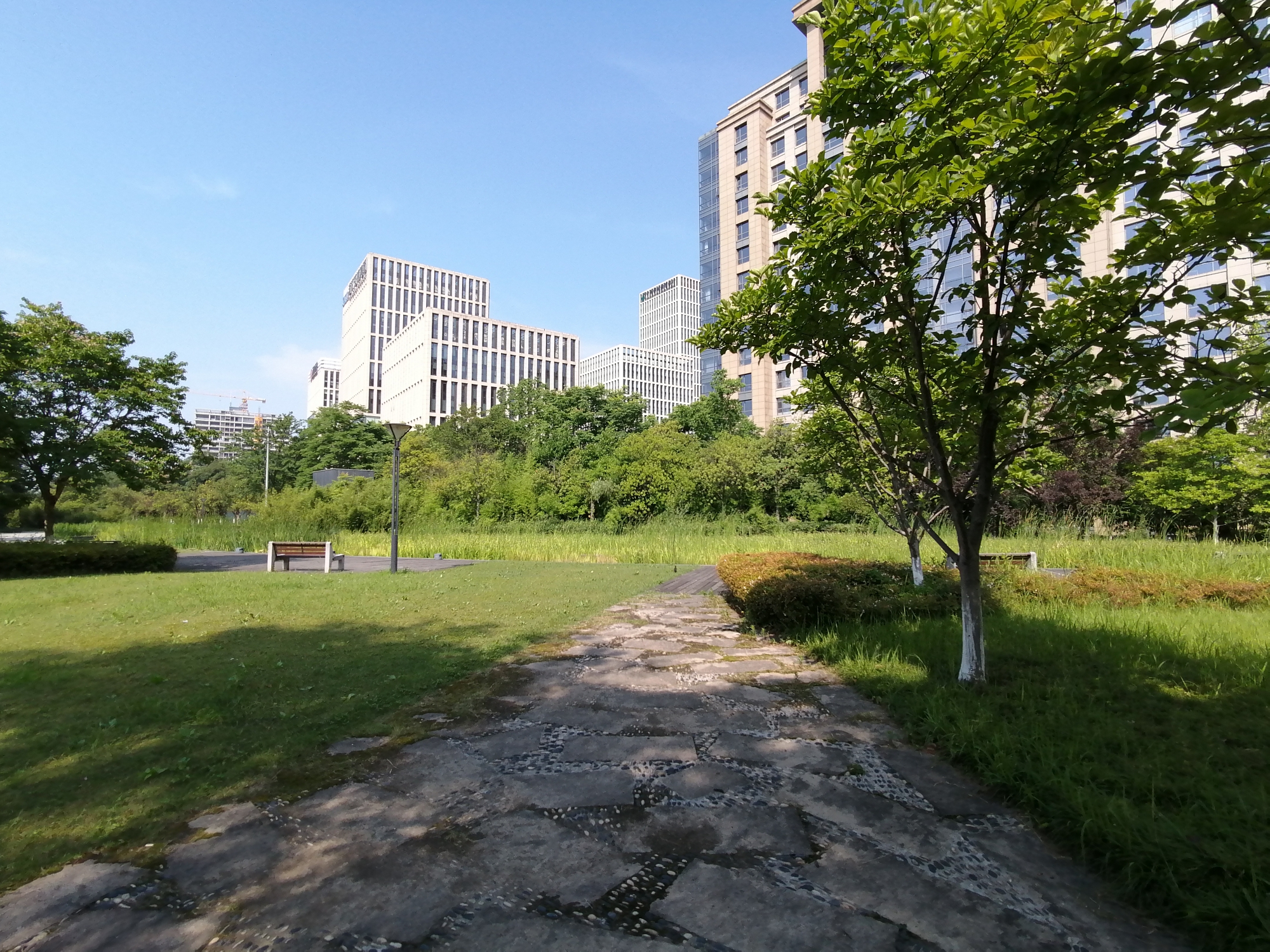 华为麦芒8测评视频,无畏前行3