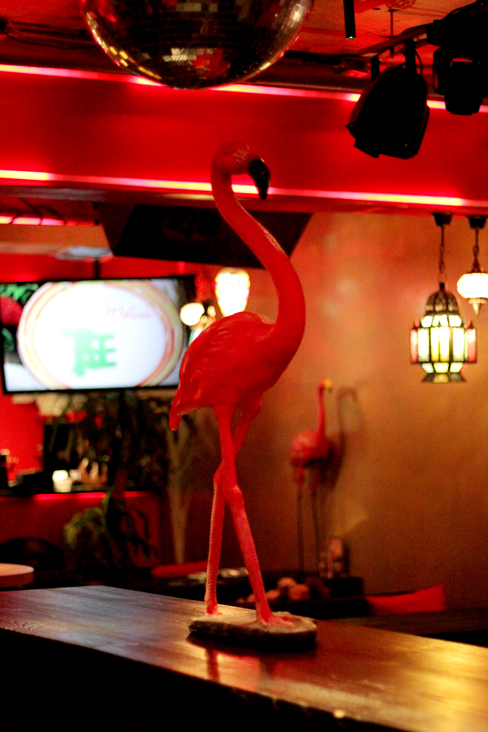 分享一个玉米很好吃的做法,玉米的小众做法