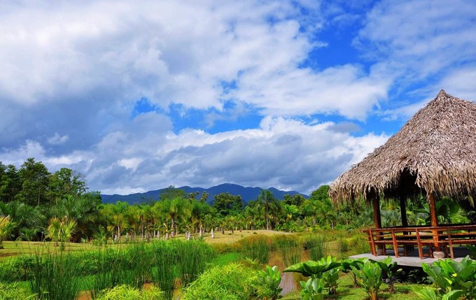 在成都去云南旅游攻略路线,2月份云南旅游攻略路线