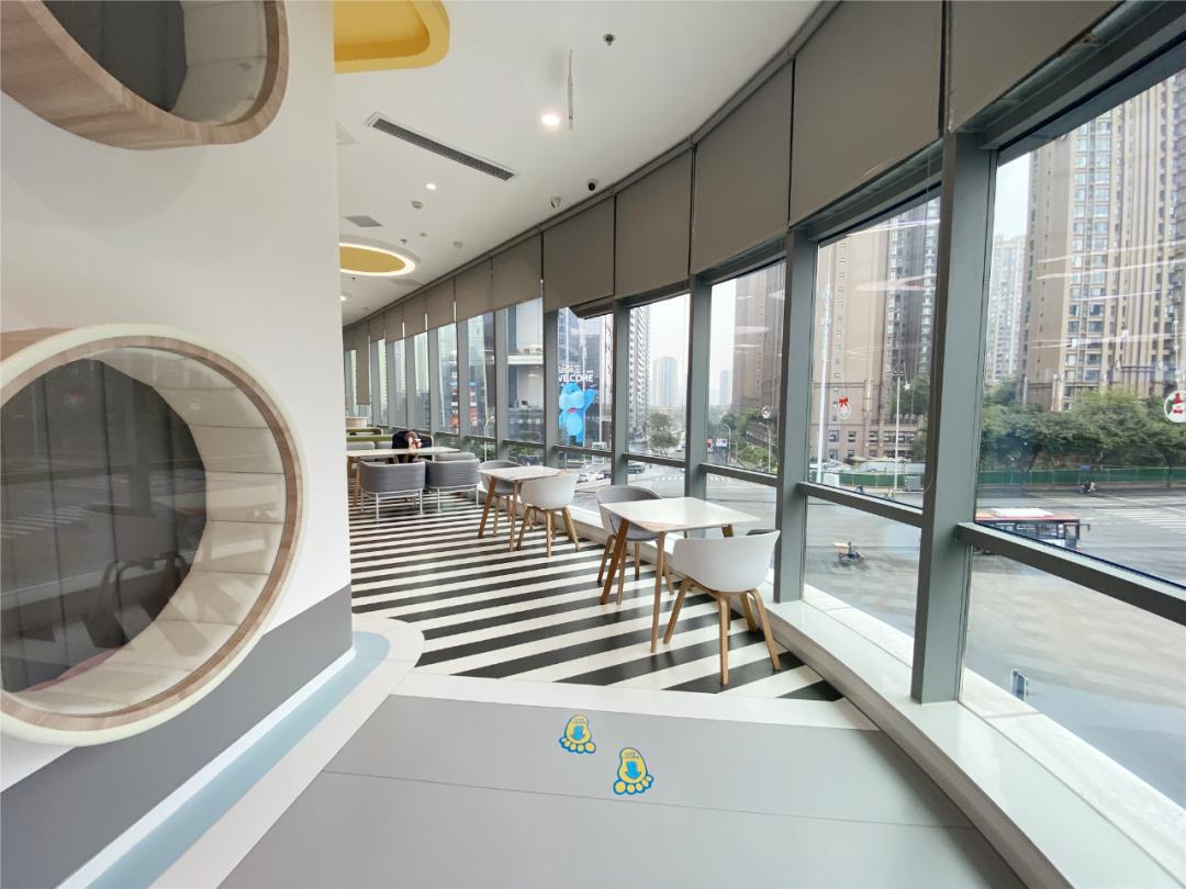 适合大孩子玩的亲子游泳,这家亲子游泳馆真的适合遛娃