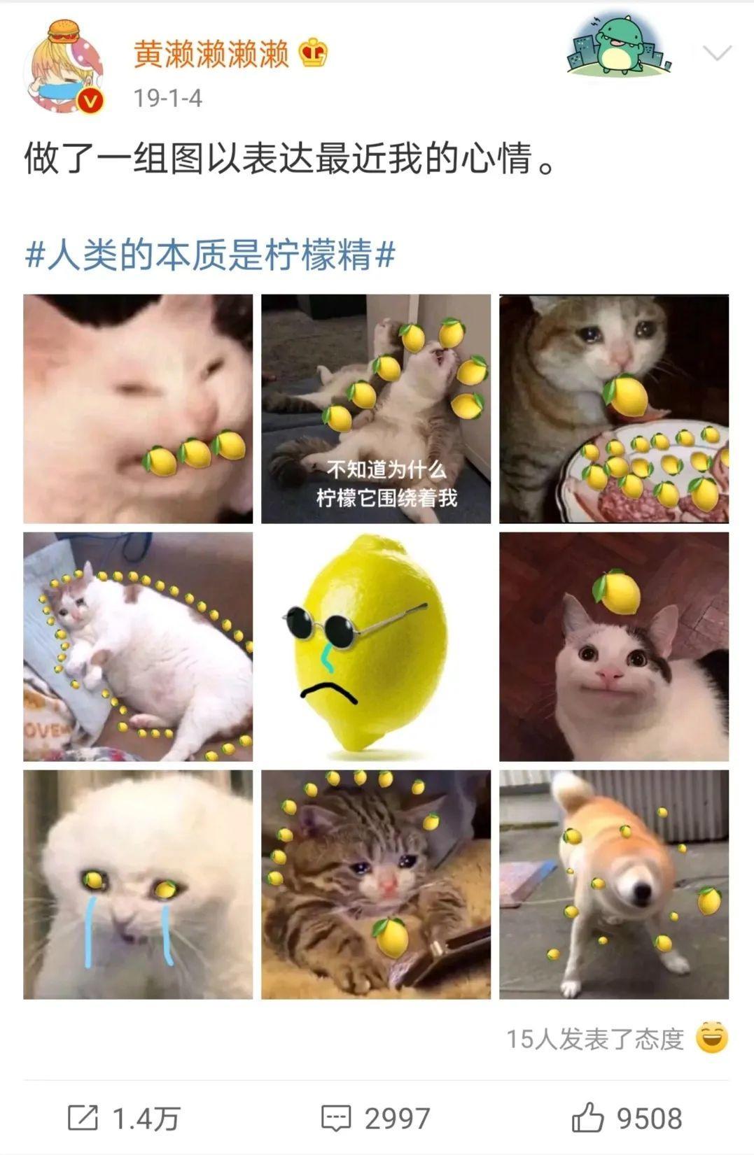 吃瓜一词由来,吃瓜一词的来历