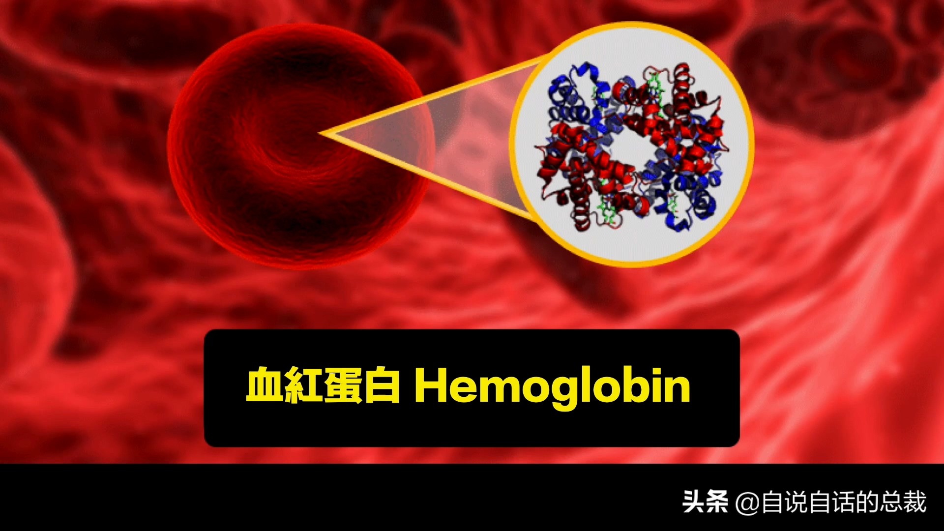 蛏子与小人蚬的区别,贻贝蛤蜊有什么区别