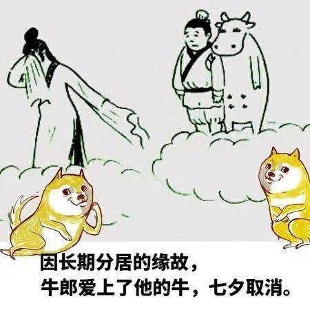 七夕表情包大全微信,七夕快乐斗图表情包