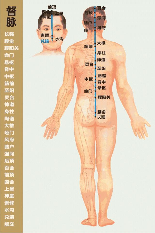 最全经络高清动图所有穴位,最全经络高清动图