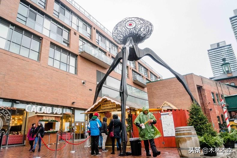 加拿大多伦多生活日记,加拿大多伦多留学生活纪实