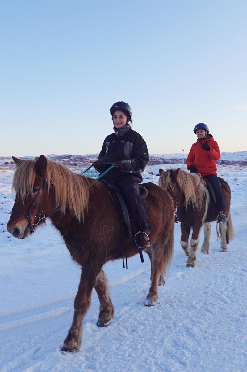 飘雪的季节,你要来一次冰岛(附冬季环游攻略)