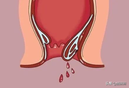 猫咪会长毛囊炎吗,猫咪会长老年斑吗
