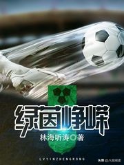 必看经典足球小说推荐,必看经典足球小说推荐排行榜