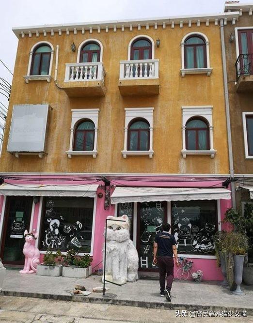 鐚閬楀純鐚挅,鐚挭琚仐寮冨湪鐚挅