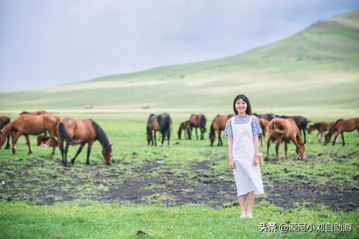 漠河呼伦贝尔旅游详细攻略,漠河草原游