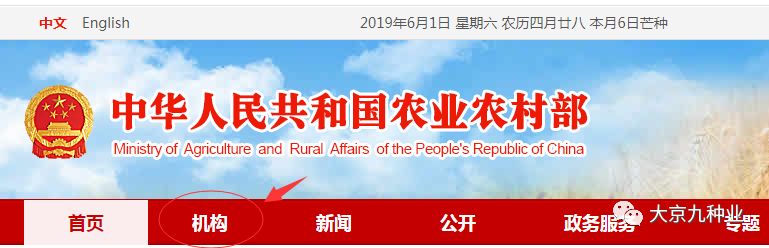 使用数据查询,查询大数据产品价格