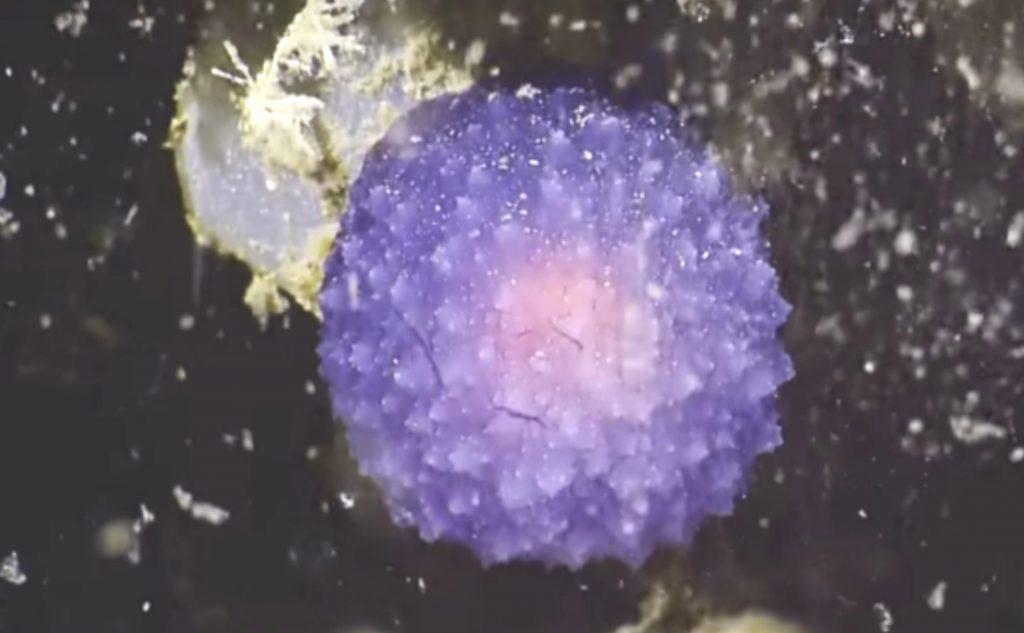 世界100大未解恐怖之谜纪录片,世界十大未解之谜