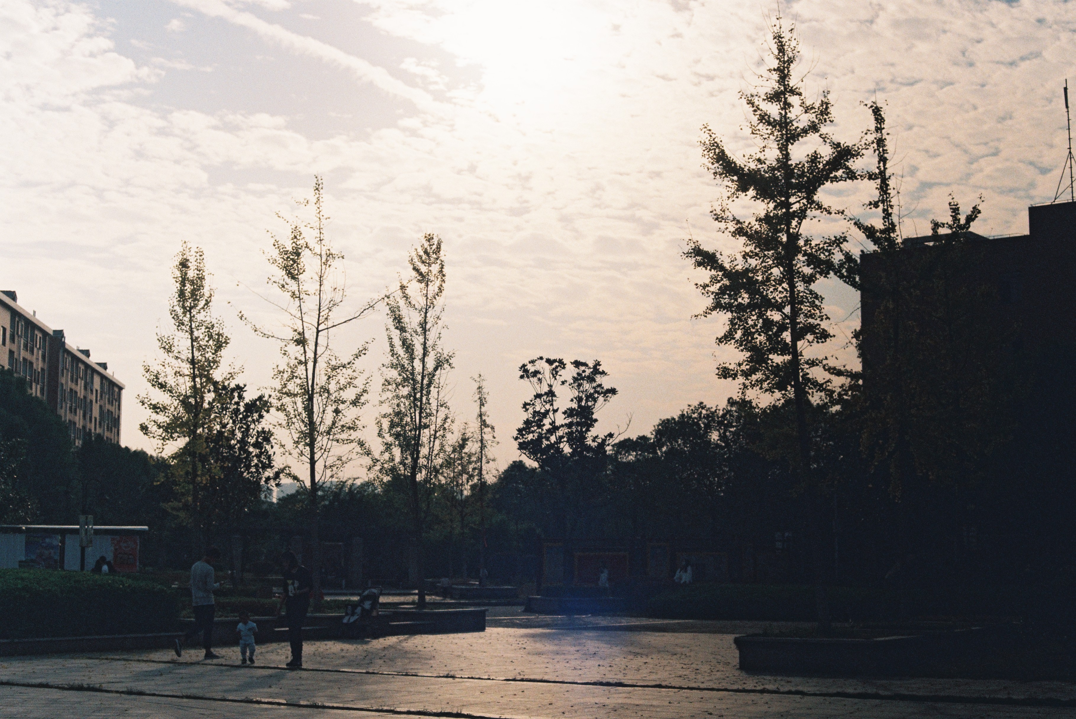 胶片拍出来不晒是什么样子的,日系胶片拍摄过程