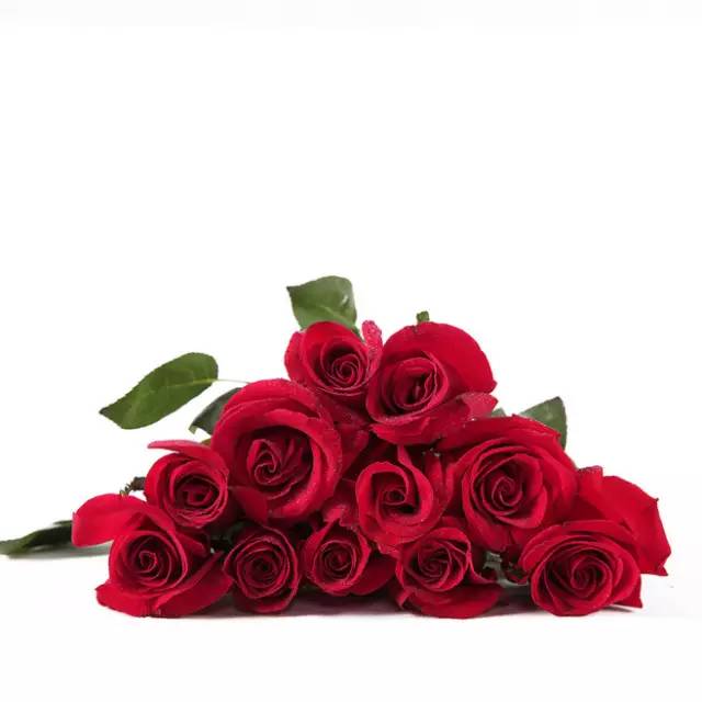 赏花时间表,赏花季节及图片