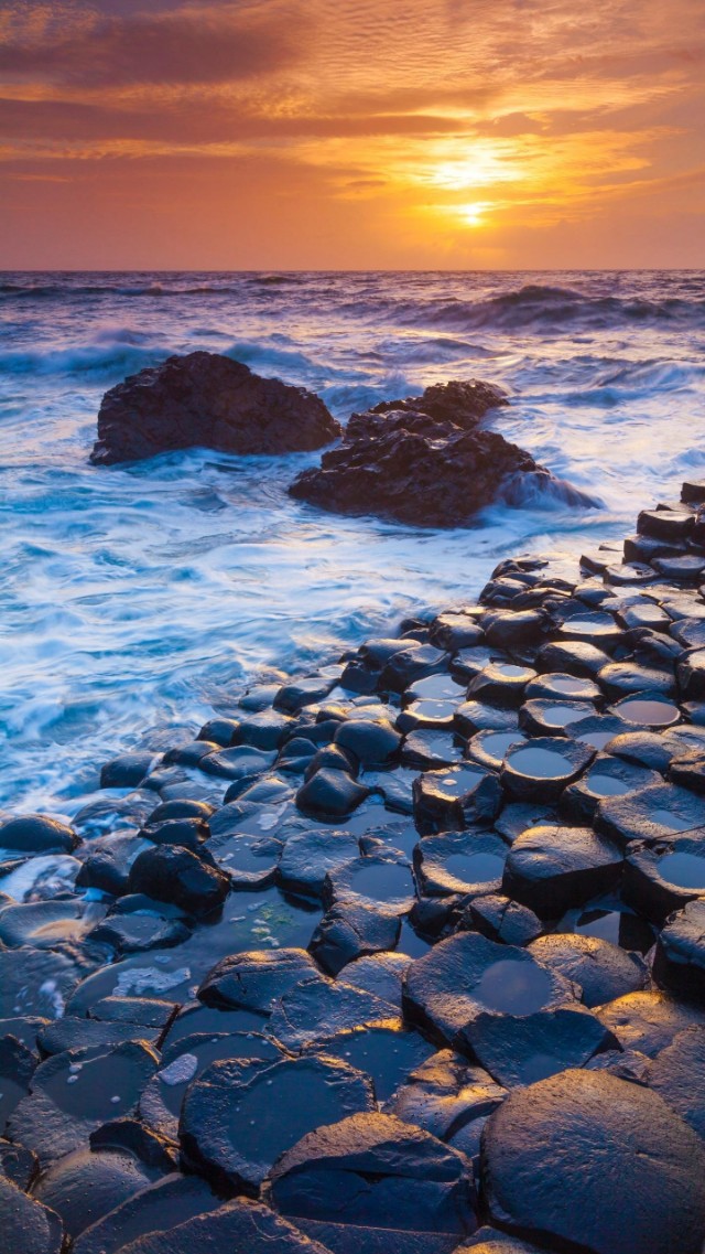 辰东新书吐槽,辰东唐家三少网文界地位